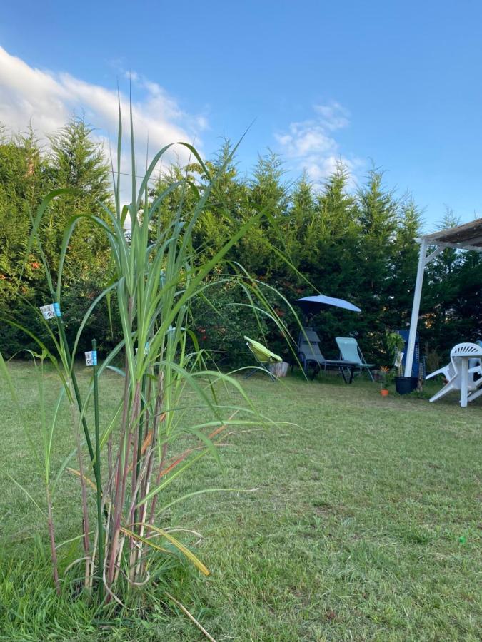Au Paradis D'Alsace 55 M2 Nature & Relax Ingwiller Exterior photo